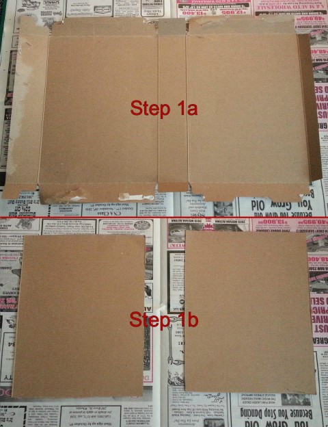 step-1a-1b